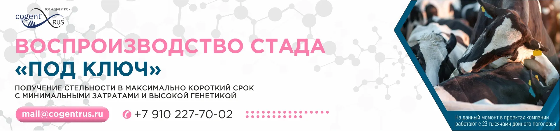 Воспроизводство под ключ