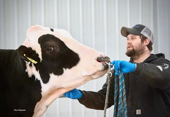 Хромосомный подбор пар