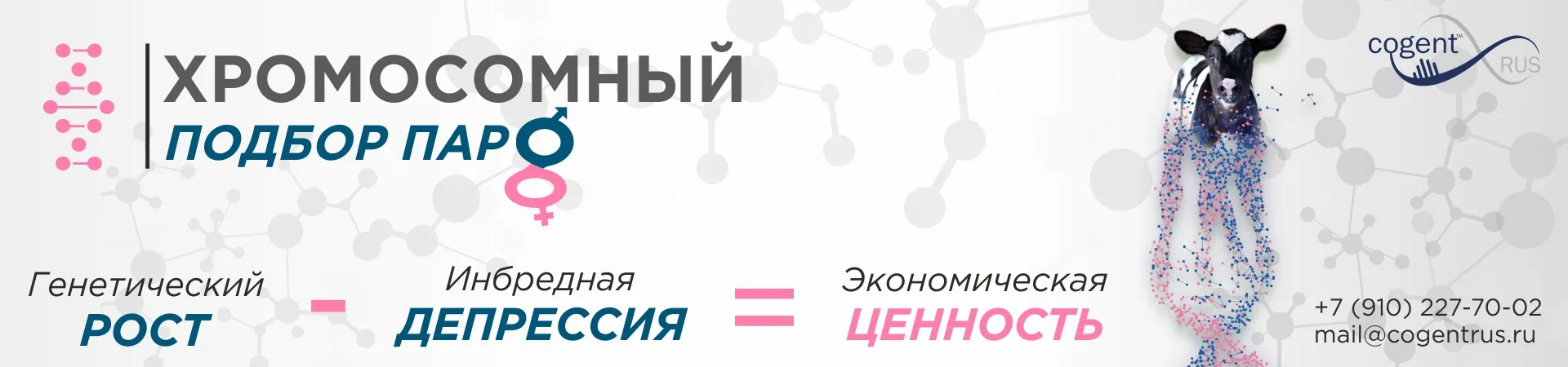 Хромосомный подбор пар