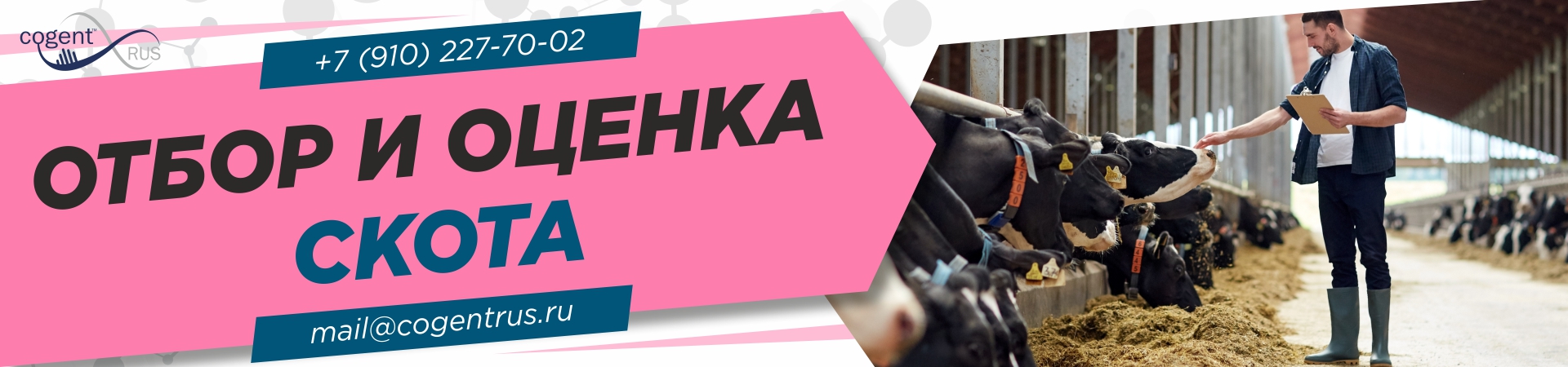 Отбор и оценка