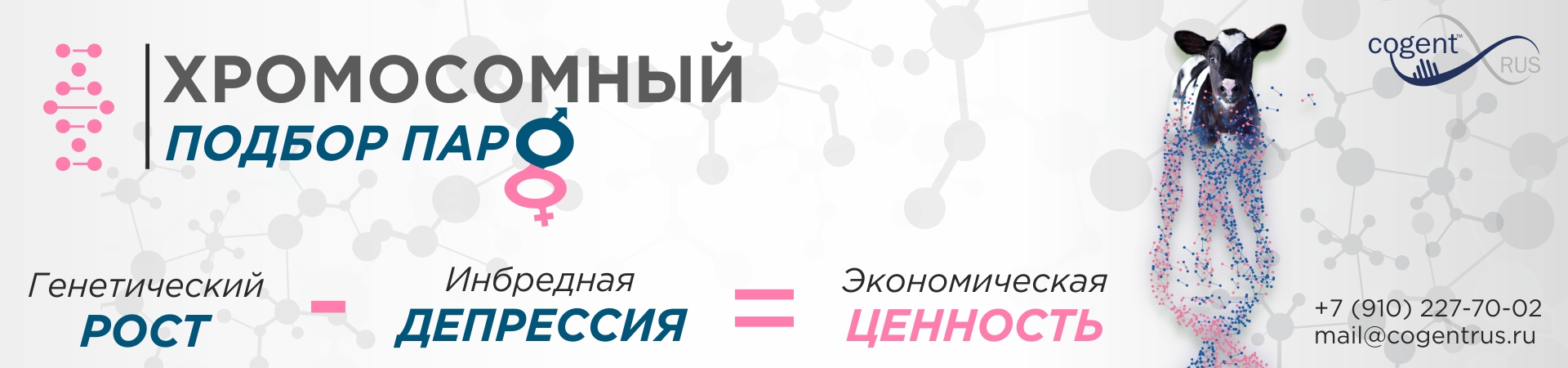 Хромосомный подбор пар