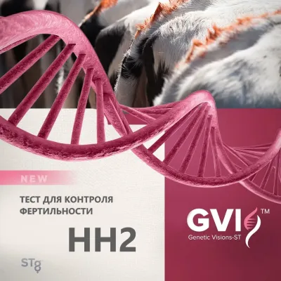 Genetic Visions‑ST™ вывел на рынок новый тест для контроля фертильности: точное выявление мутации HH2