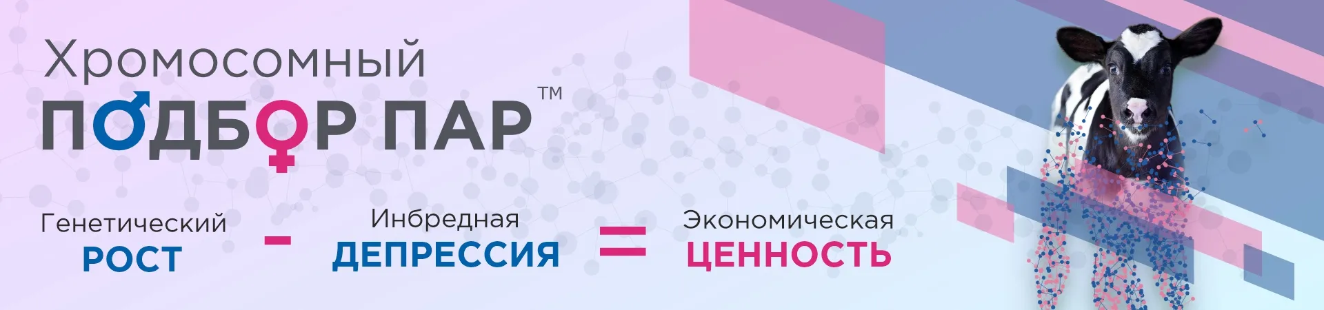 Хромосомный подбор пар