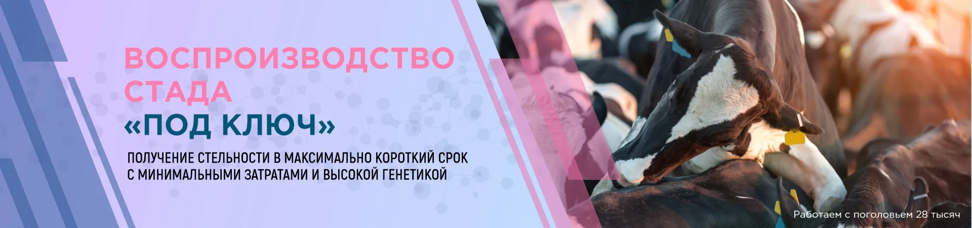 Воспроизводство под ключ