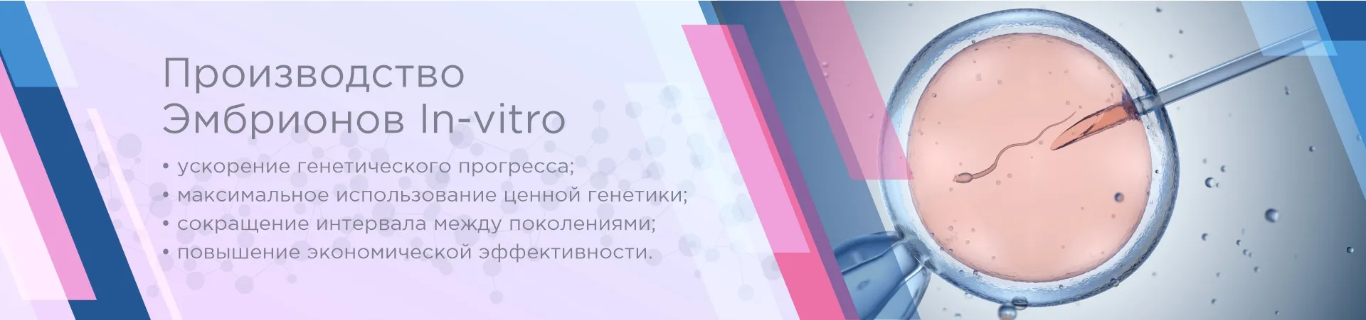 Производство эмбрионов