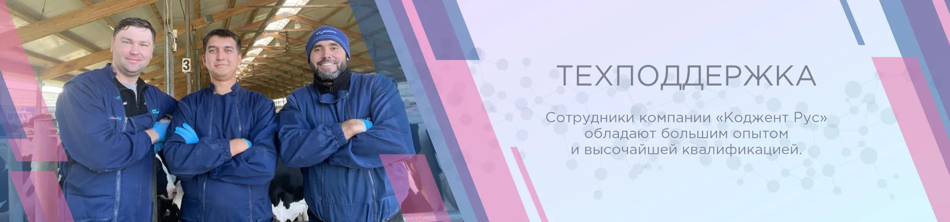 Техподдержка