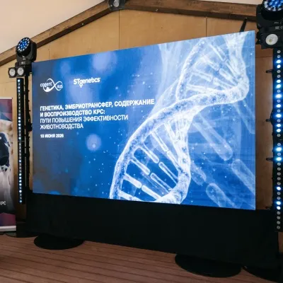 ПОСТ-РЕЛИЗ: «Генетика, эмбриотрансфер, содержание и воспроизводство КРС: пути повышения эффективности животноводства»
