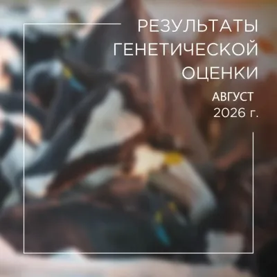 РЕЗУЛЬТАТЫ ГЕНЕТИЧЕСКОЙ ОЦЕНКИ БЫКОВ 08-26