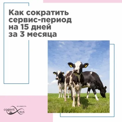 Как сократить сервис-период на 15 дней за 3 месяца